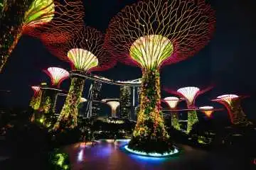 Experience Singapore